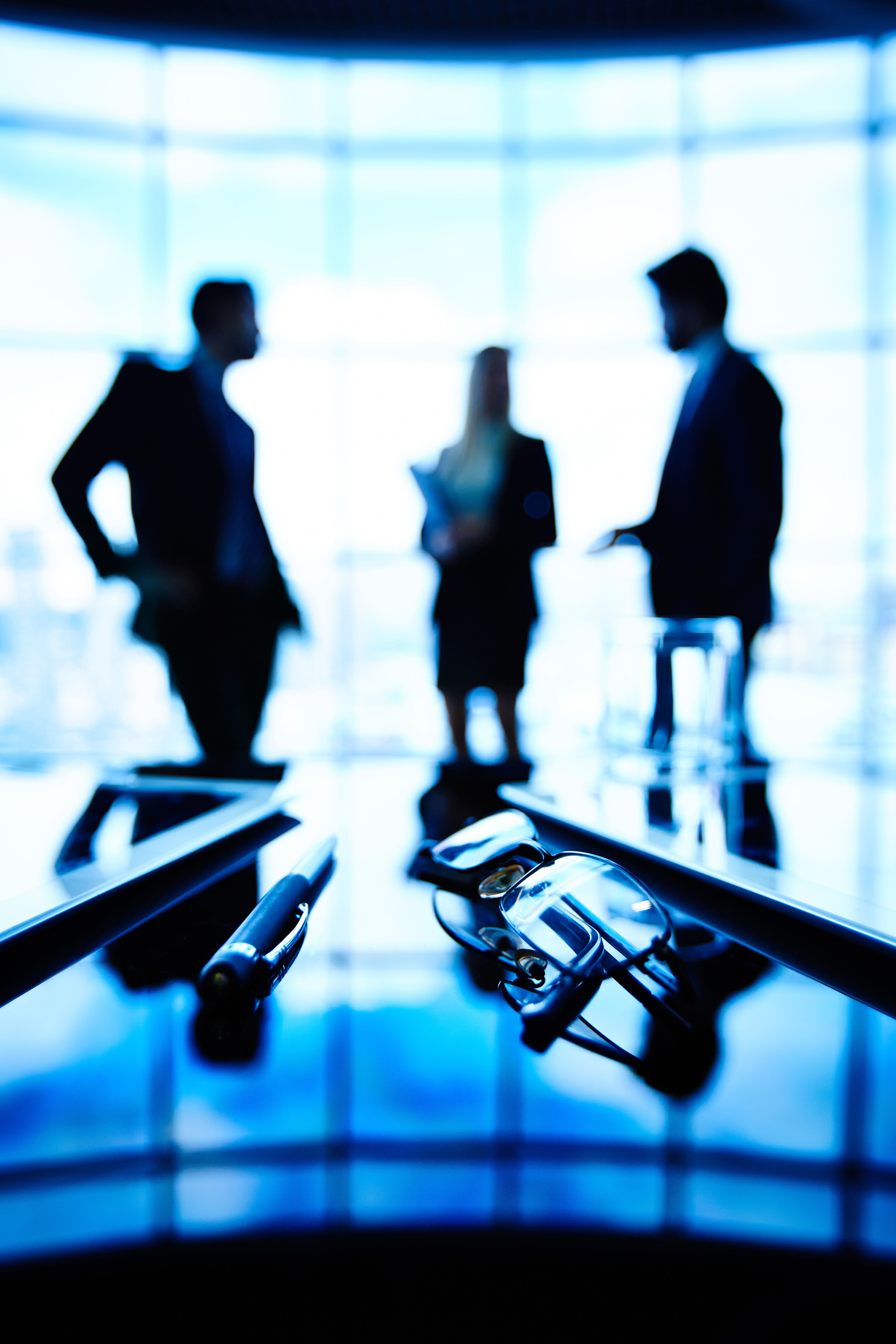 Consulenza Societaria